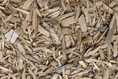 biomass boilers Shirlett